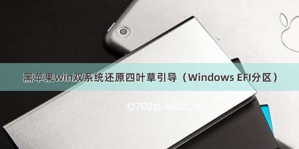 黑苹果win双系统还原四叶草引导（Windows EFI分区）