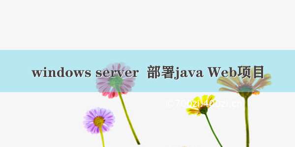 windows server  部署java Web项目