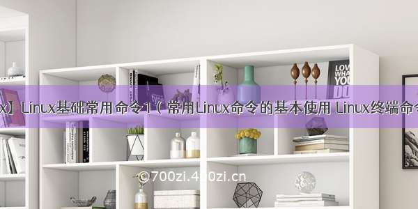 【Linux】Linux基础常用命令1（常用Linux命令的基本使用 Linux终端命令格式）