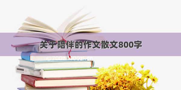 关于陪伴的作文散文800字