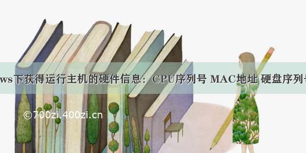 C++在windows下获得运行主机的硬件信息：CPU序列号 MAC地址 硬盘序列号 主板序列号