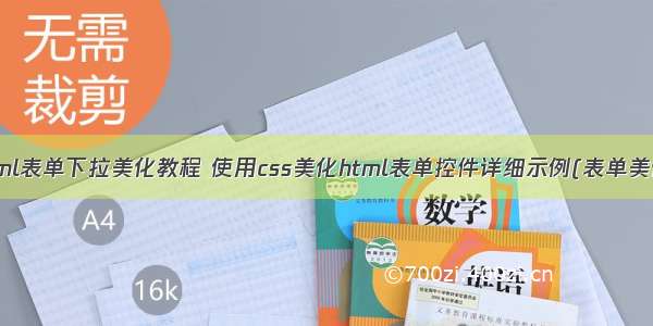 html表单下拉美化教程 使用css美化html表单控件详细示例(表单美化)