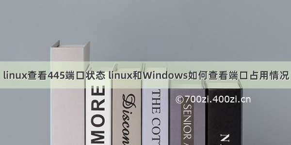 linux查看445端口状态 linux和Windows如何查看端口占用情况