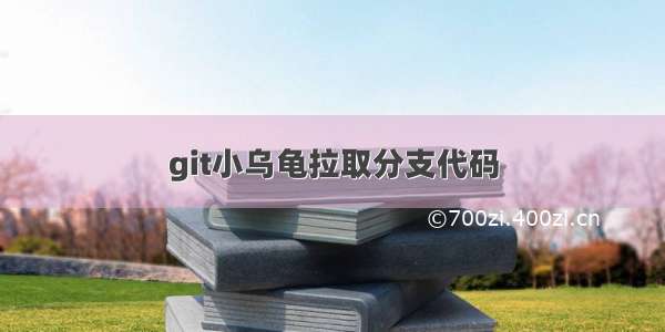 git小乌龟拉取分支代码