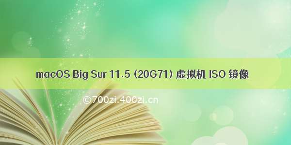 macOS Big Sur 11.5 (20G71) 虚拟机 ISO 镜像