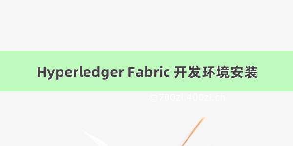 Hyperledger Fabric 开发环境安装