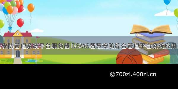 综合安防管理系统平台服务器 DSMS智慧安防综合管理平台系统应用方案