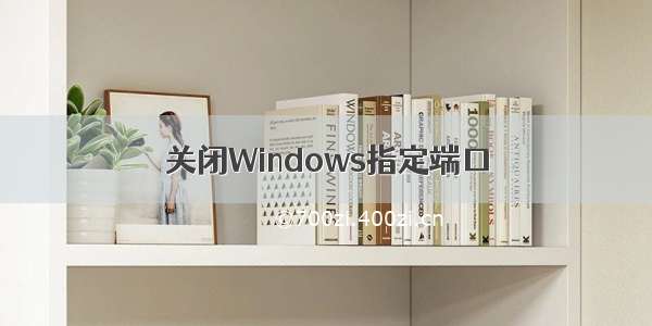 关闭Windows指定端口