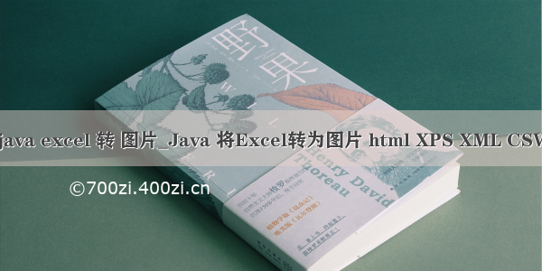 java excel 转 图片_Java 将Excel转为图片 html XPS XML CSV