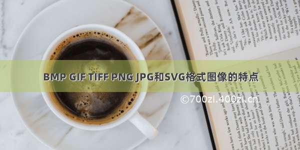 BMP GIF TIFF PNG JPG和SVG格式图像的特点