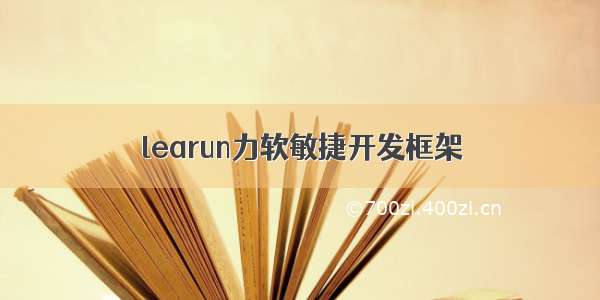 learun力软敏捷开发框架