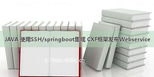 JAVA 使用SSH/springboot集成 CXF框架发布Webservice