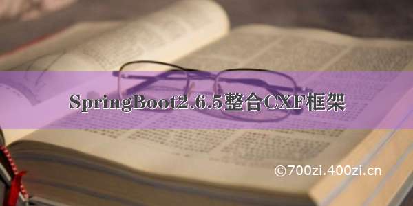 SpringBoot2.6.5整合CXF框架