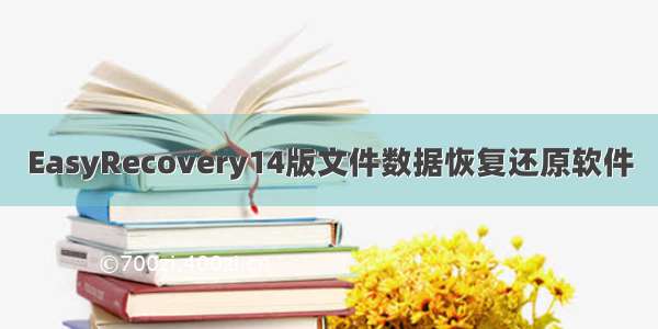 EasyRecovery14版文件数据恢复还原软件