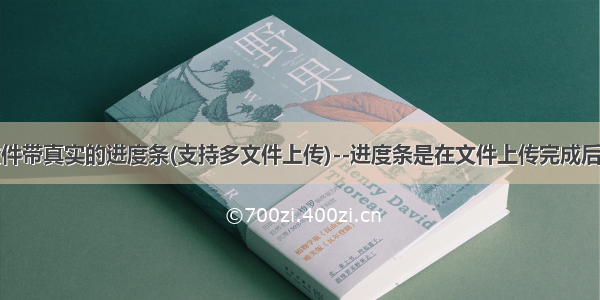 上传文件带真实的进度条(支持多文件上传)--进度条是在文件上传完成后再显示