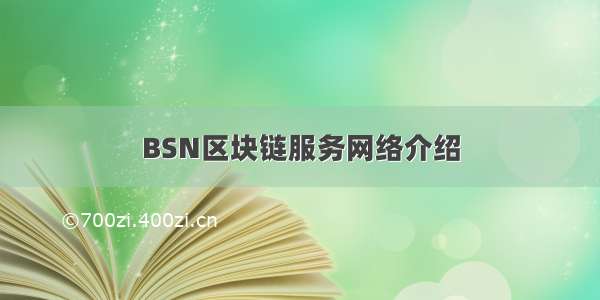 BSN区块链服务网络介绍