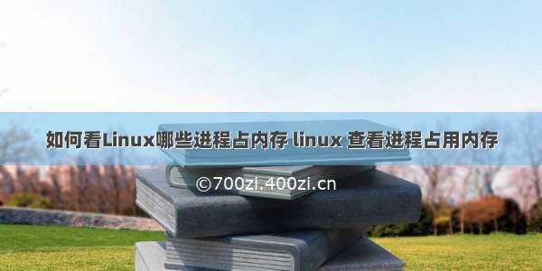 如何看Linux哪些进程占内存 linux 查看进程占用内存