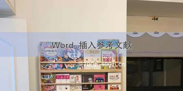 Word  插入参考文献