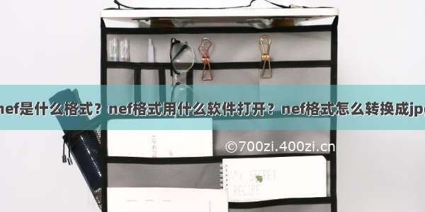 nef是什么格式？nef格式用什么软件打开？nef格式怎么转换成jpg