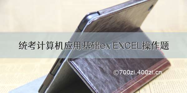 统考计算机应用基础ex EXCEL操作题