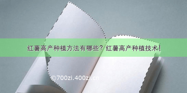 红薯高产种植方法有哪些？红薯高产种植技术！