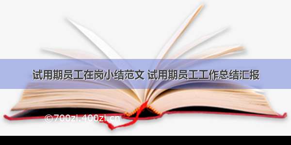 试用期员工在岗小结范文 试用期员工工作总结汇报