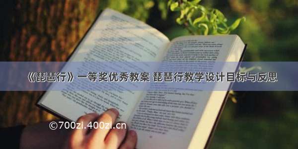 《琵琶行》一等奖优秀教案 琵琶行教学设计目标与反思