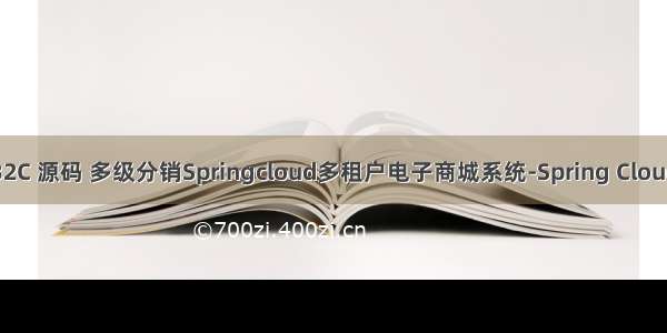 java B2B2C 源码 多级分销Springcloud多租户电子商城系统-Spring Cloud eureka