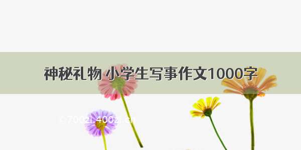 神秘礼物 小学生写事作文1000字