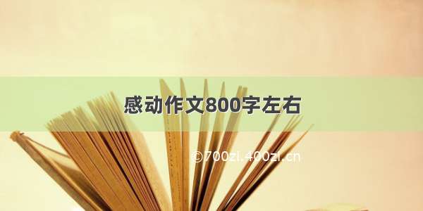 感动作文800字左右