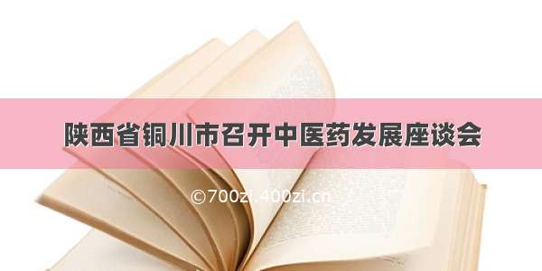 陕西省铜川市召开中医药发展座谈会