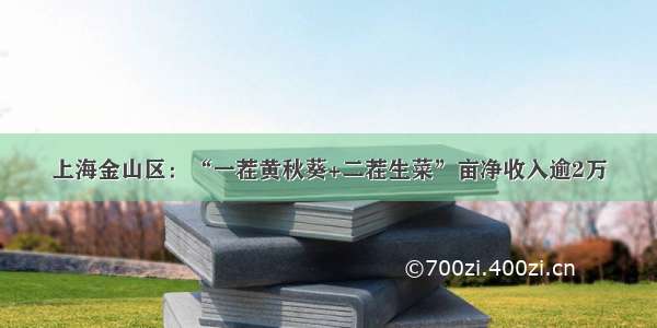 上海金山区：“一茬黄秋葵+二茬生菜”亩净收入逾2万