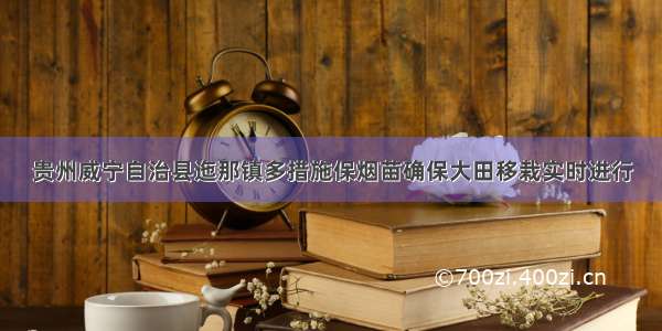 贵州威宁自治县迤那镇多措施保烟苗确保大田移栽实时进行