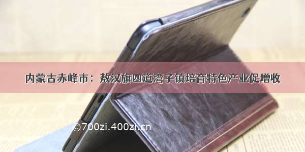 内蒙古赤峰市：敖汉旗四道湾子镇培育特色产业促增收