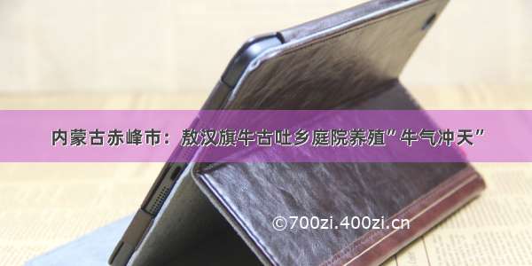 内蒙古赤峰市：敖汉旗牛古吐乡庭院养殖”牛气冲天”