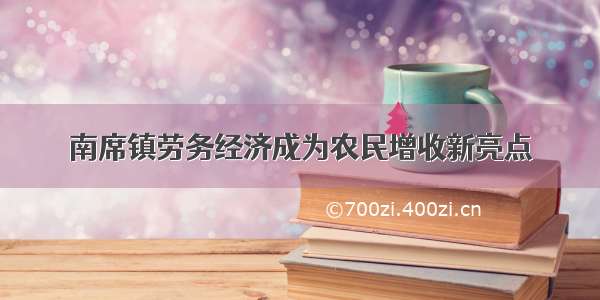 南席镇劳务经济成为农民增收新亮点