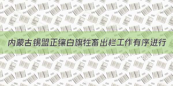 内蒙古锡盟正镶白旗牲畜出栏工作有序进行