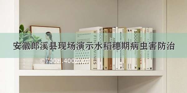 安徽郎溪县现场演示水稻穗期病虫害防治