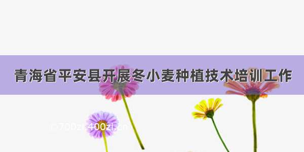 青海省平安县开展冬小麦种植技术培训工作