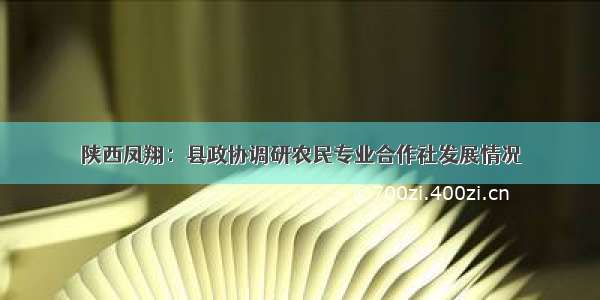 陕西凤翔：县政协调研农民专业合作社发展情况