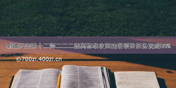 新疆兵团第十二师二二二团高标准农田建设项目任务完成80%