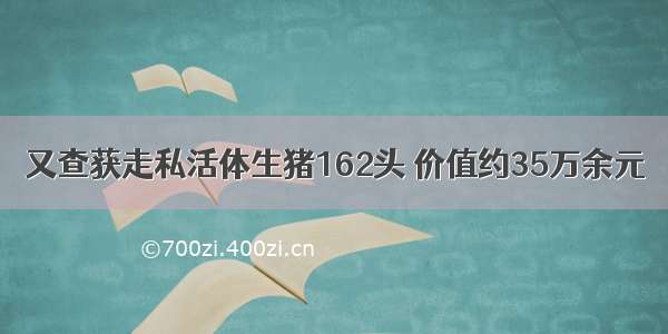 又查获走私活体生猪162头 价值约35万余元