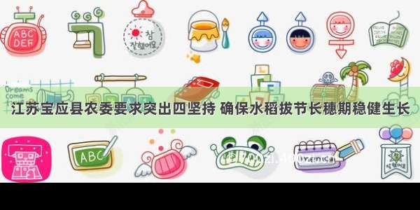 江苏宝应县农委要求突出四坚持 确保水稻拔节长穗期稳健生长
