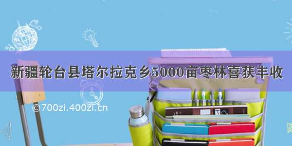 新疆轮台县塔尔拉克乡5000亩枣林喜获丰收