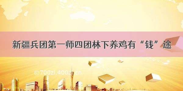 新疆兵团第一师四团林下养鸡有“钱”途