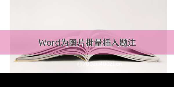 Word为图片批量插入题注