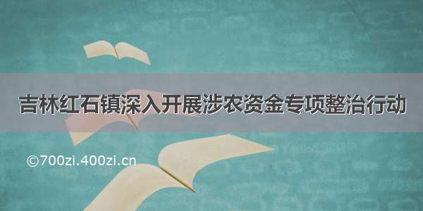 吉林红石镇深入开展涉农资金专项整治行动