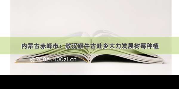 内蒙古赤峰市：敖汉旗牛古吐乡大力发展树莓种植