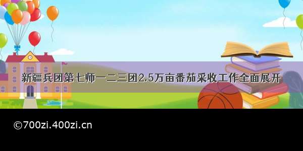 新疆兵团第七师一二三团2.5万亩番茄采收工作全面展开