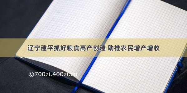 辽宁建平抓好粮食高产创建 助推农民增产增收